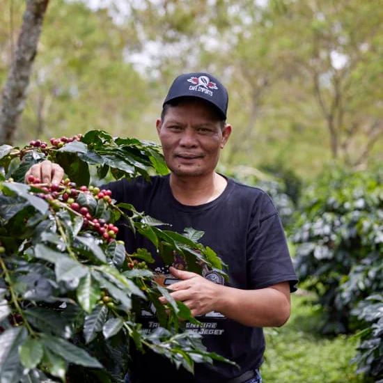 ASMAN GAYO - Image 3