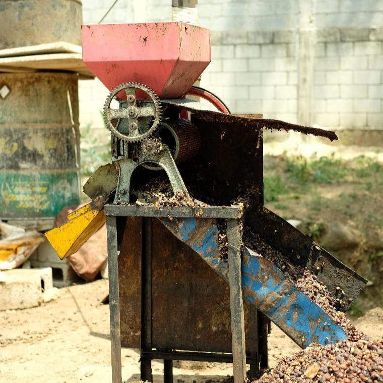 BUENA VISTA SIDRA - Image 7
