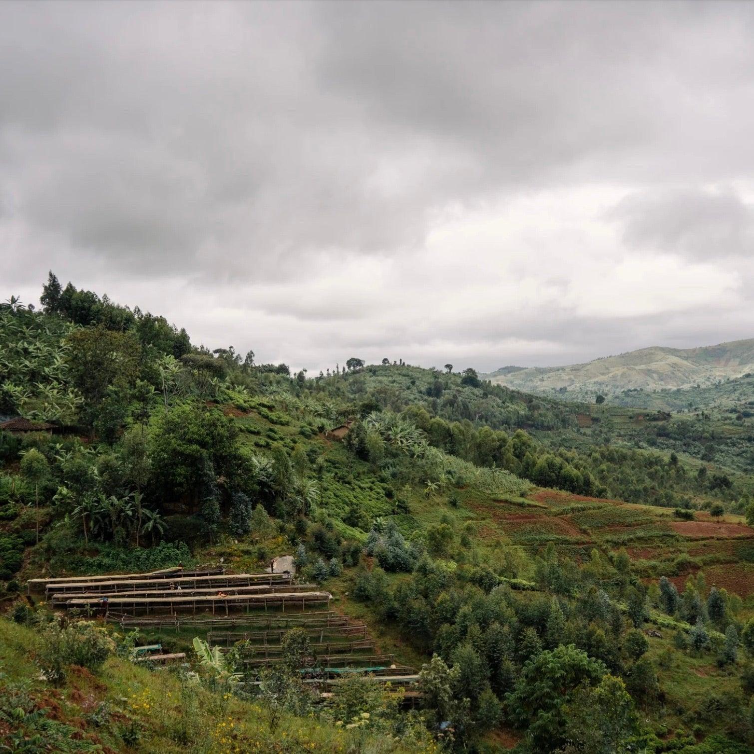 BUMBA HILL - Image 4