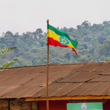 ETHIOPIAN BUNDLE - Image 4