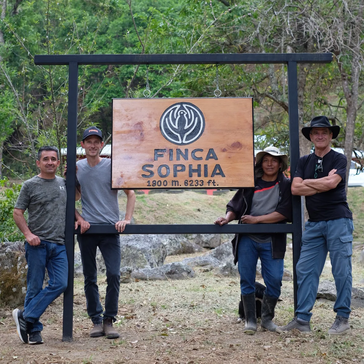FINCA SOPHIA GESHA - Image 3