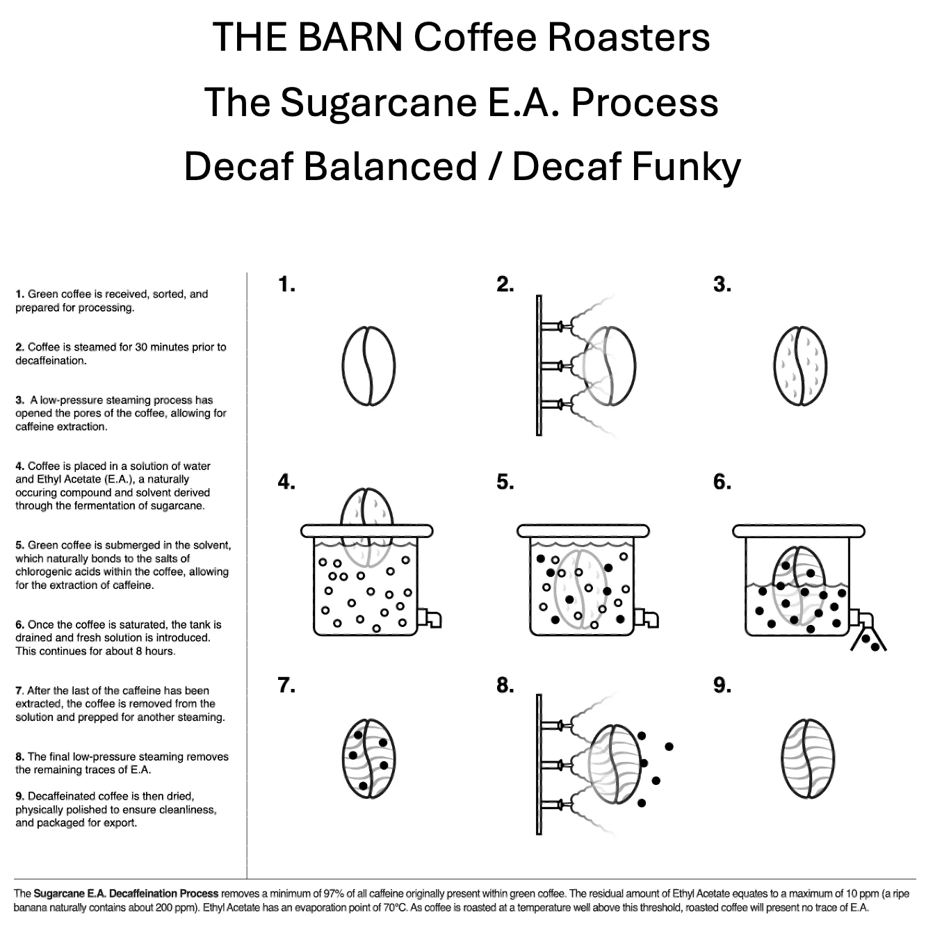 DECAF BALANCED - Image 3