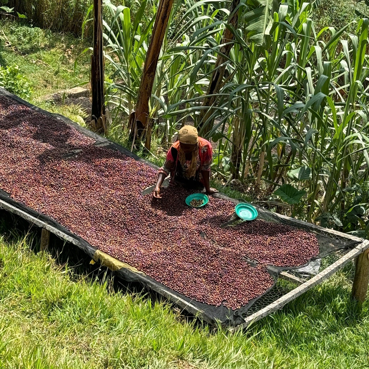 GITWE - Image 4