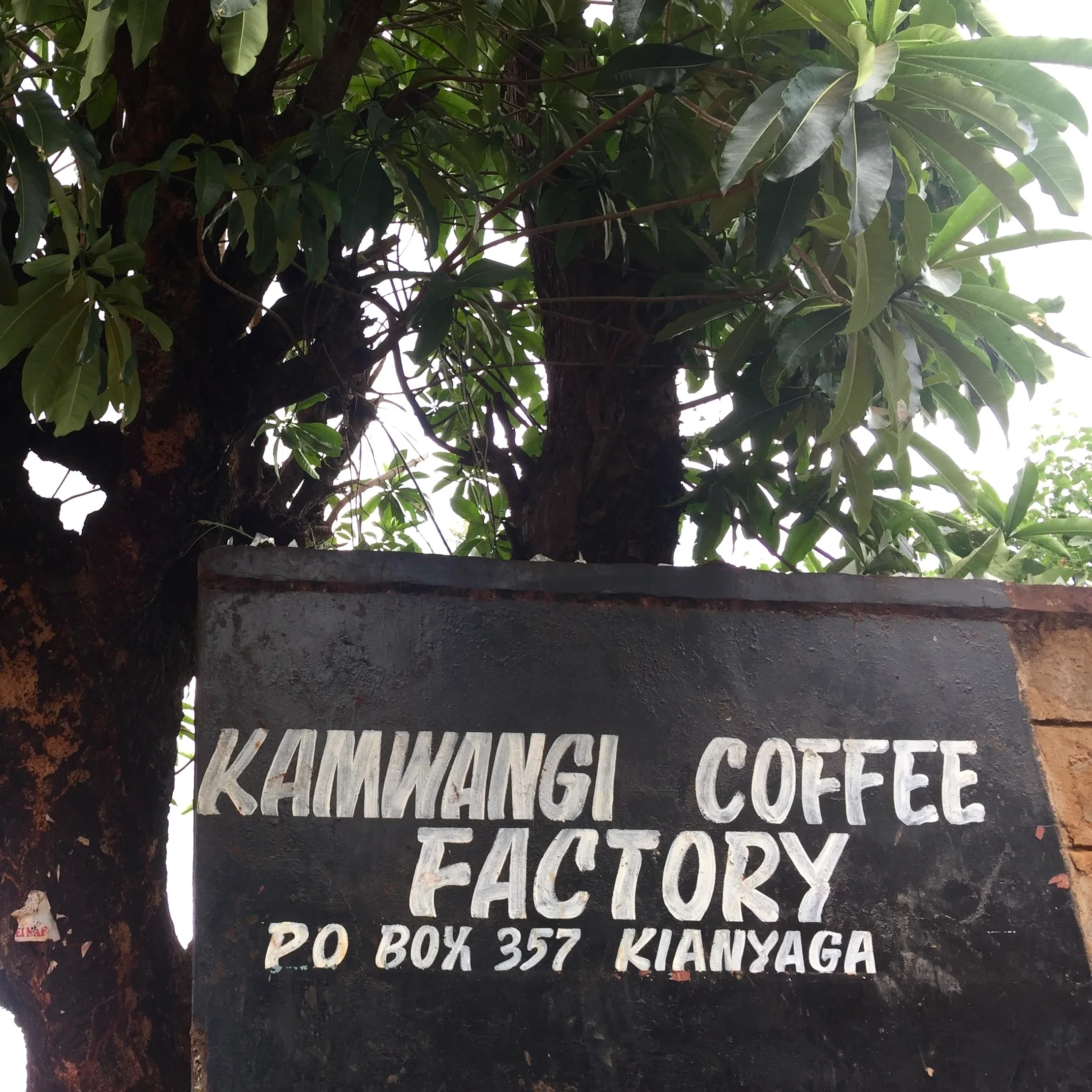 KAMWANGI AB - Image 3