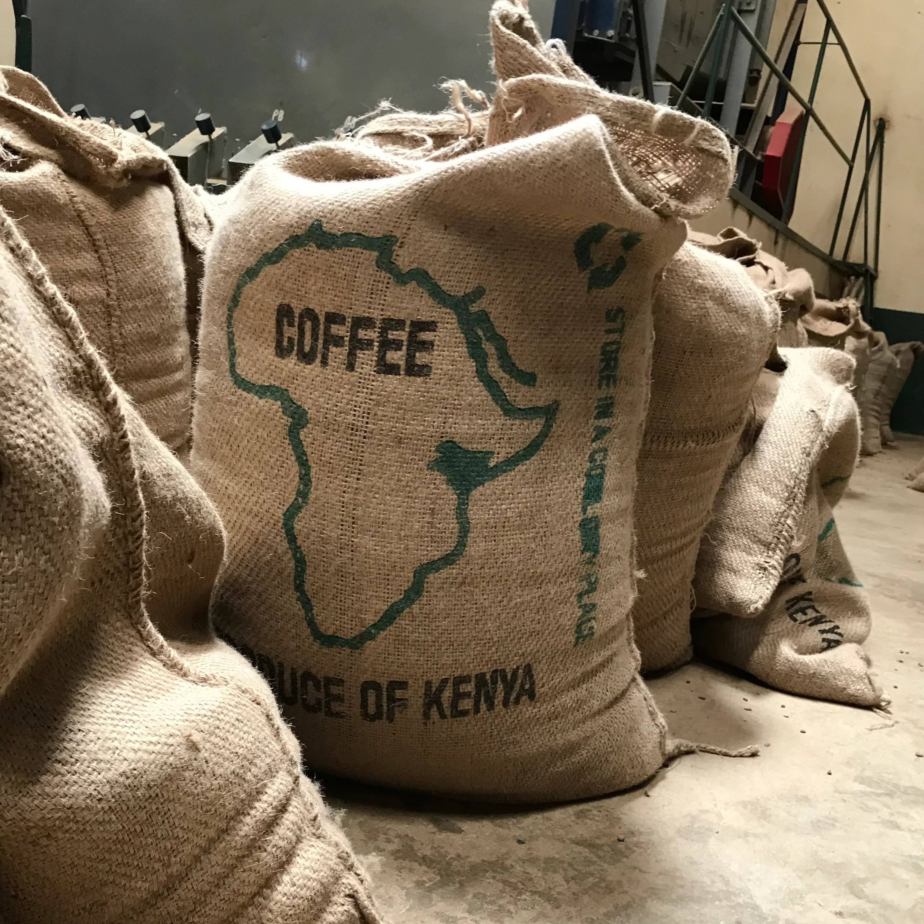 KIUNYU PB - Image 4