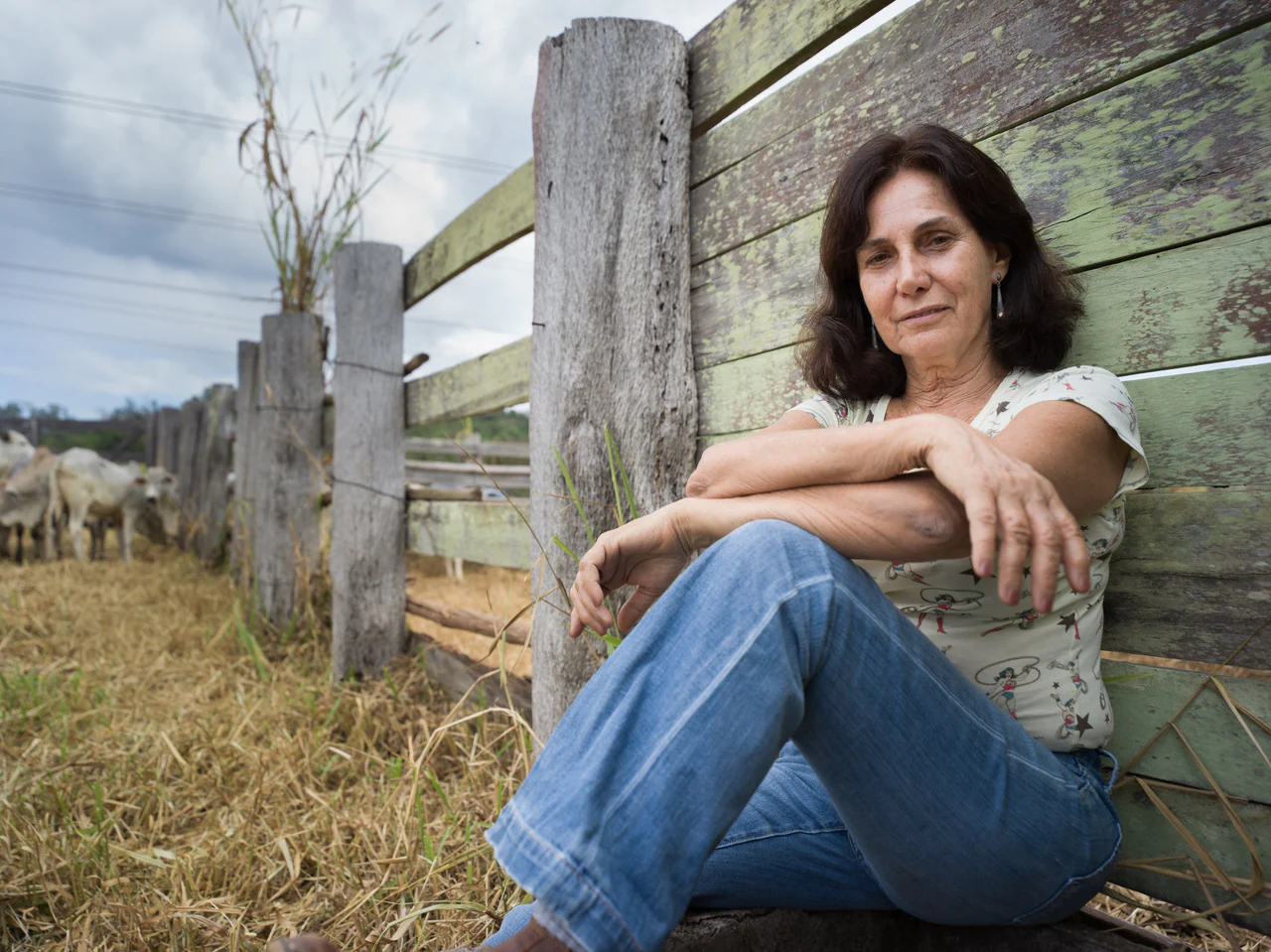 SILVIA BARRETTO - Image 5