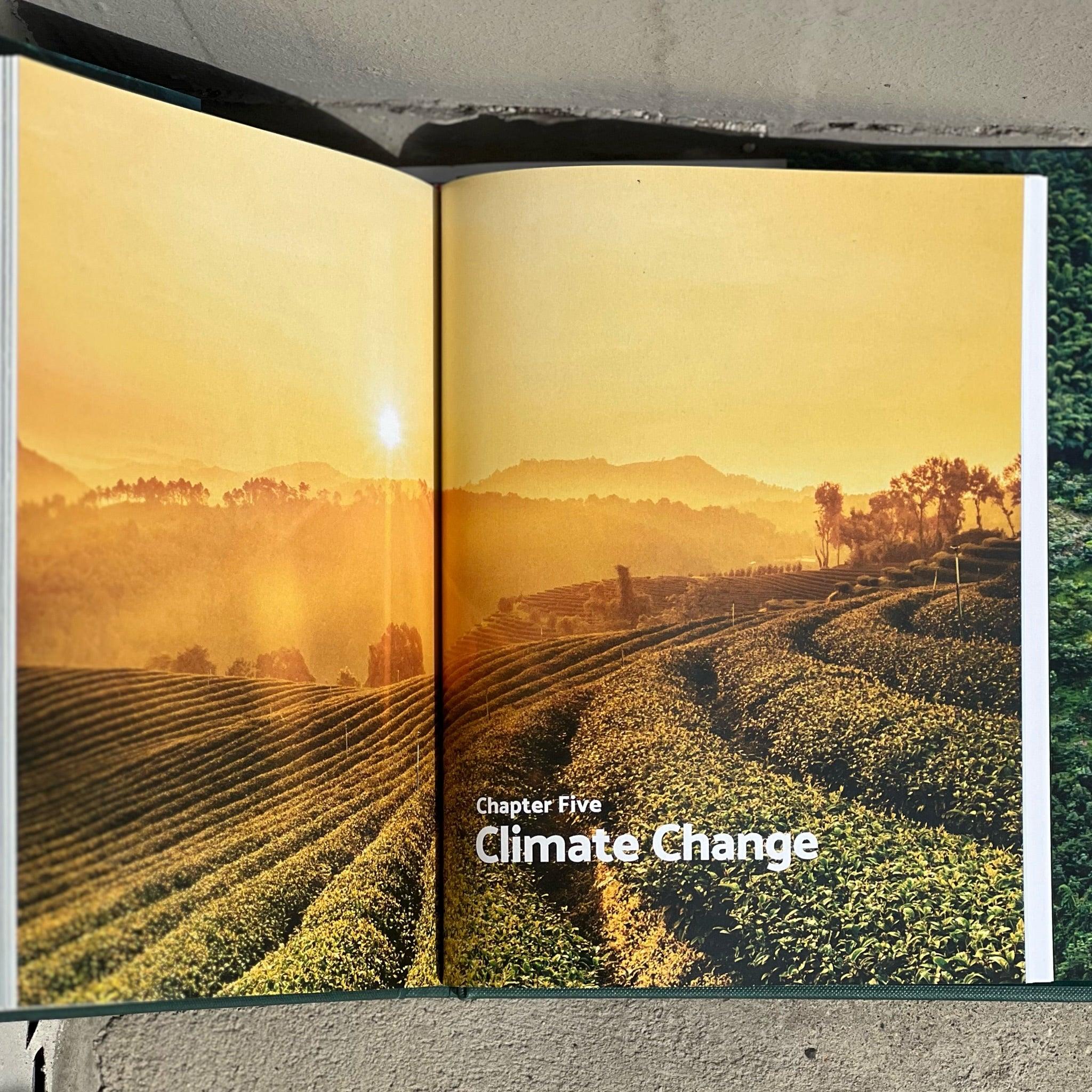 TERROIR - Image 4