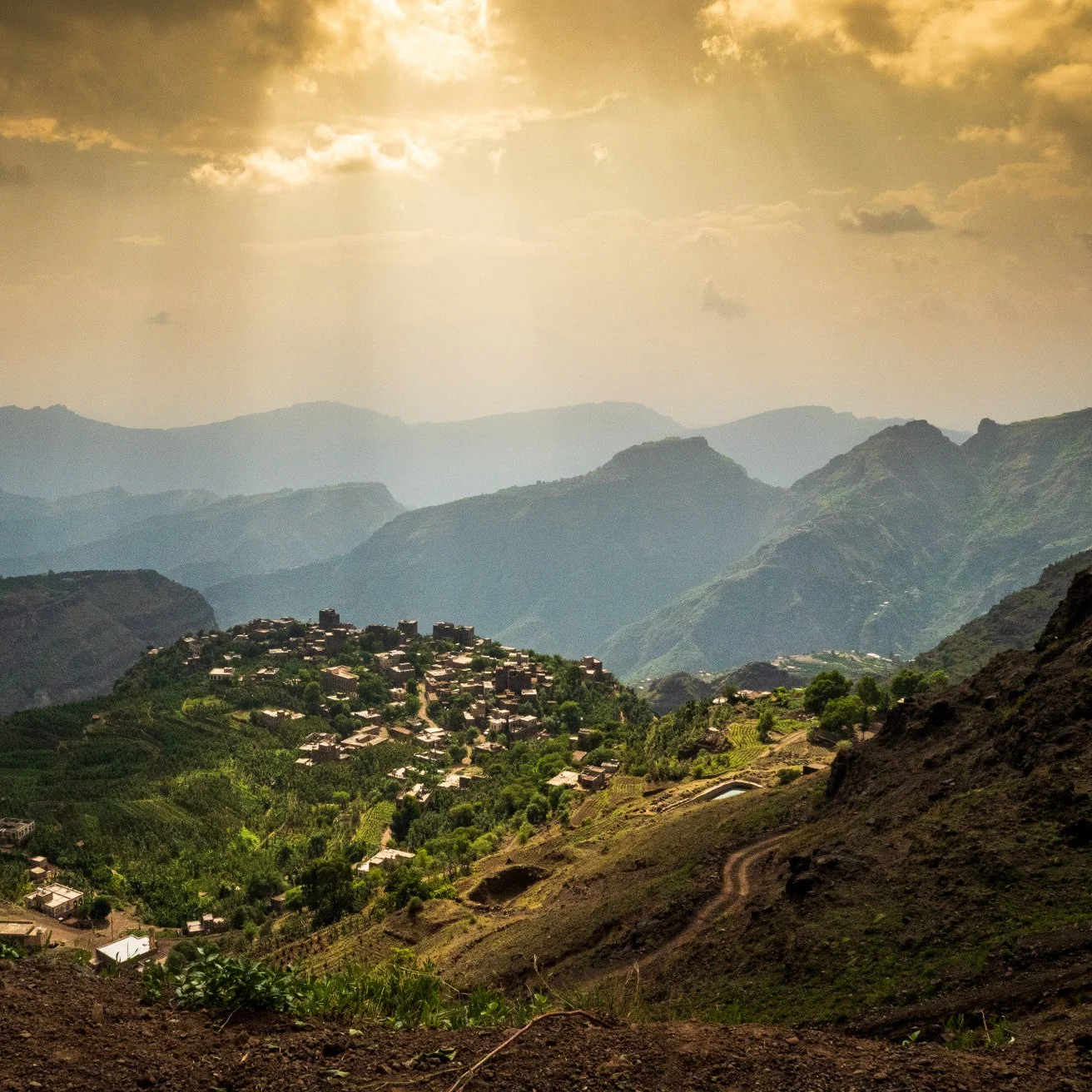 YEMEN ALCHEMY - Image 11