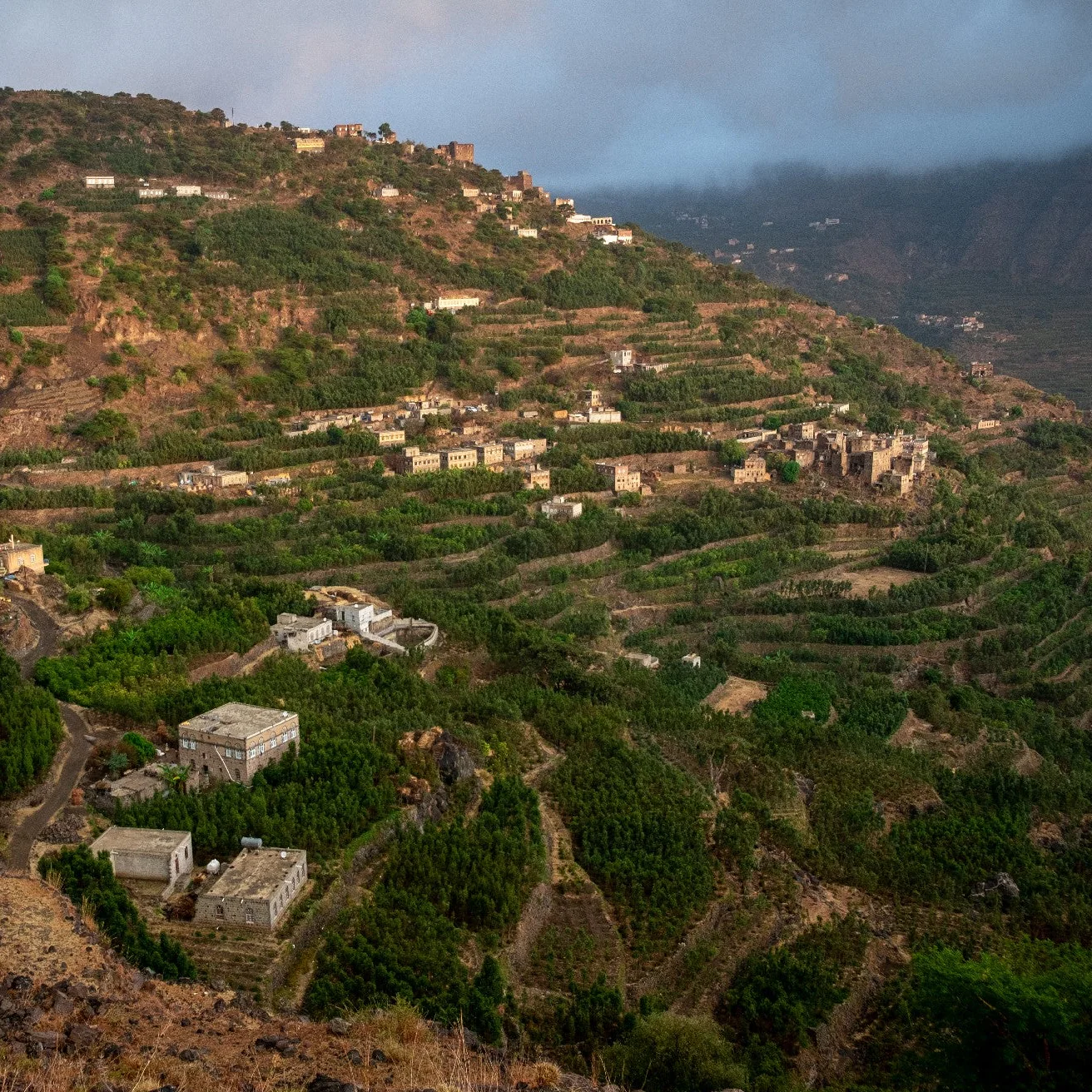 YEMEN ALCHEMY - Image 5