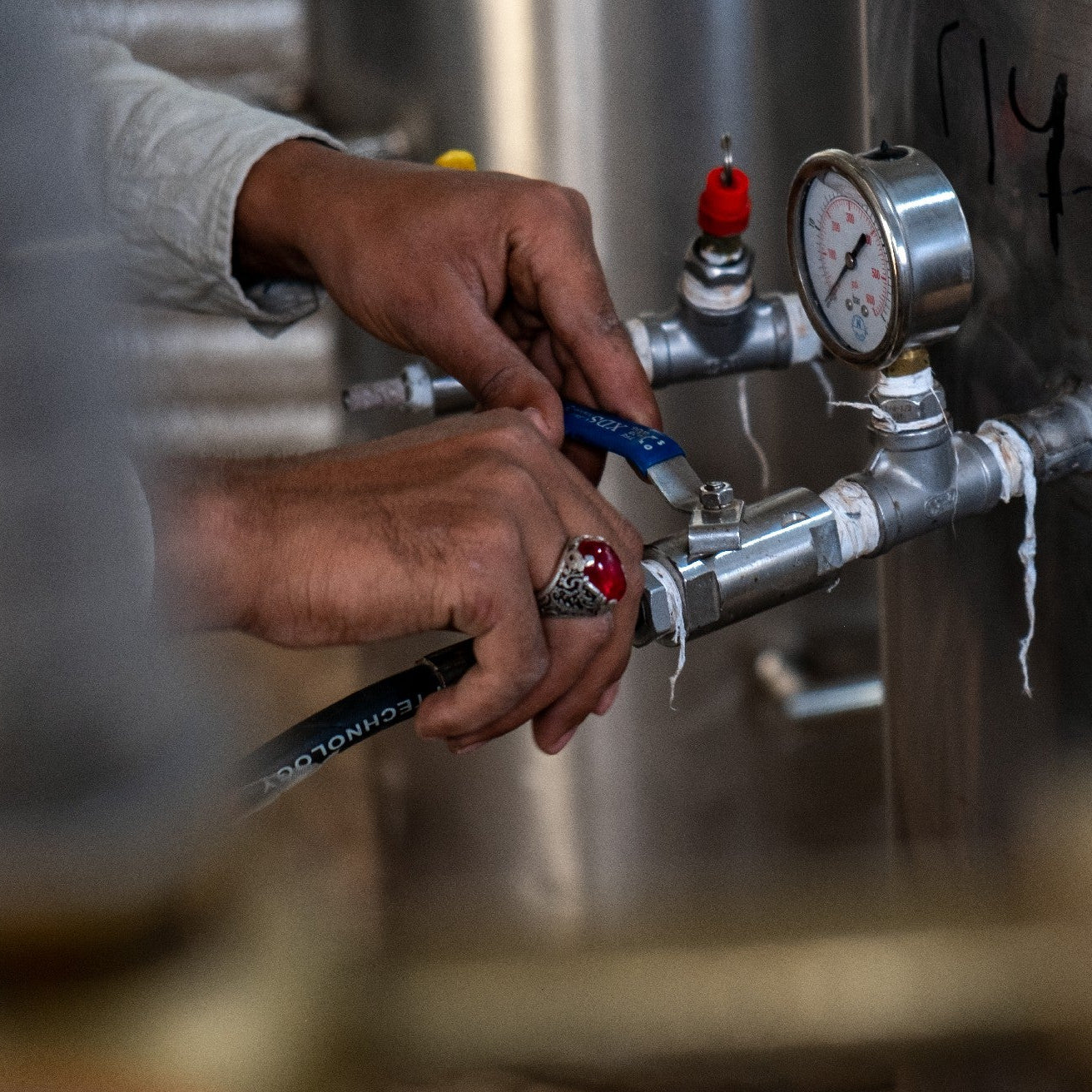 YEMEN ALCHEMY - Image 7