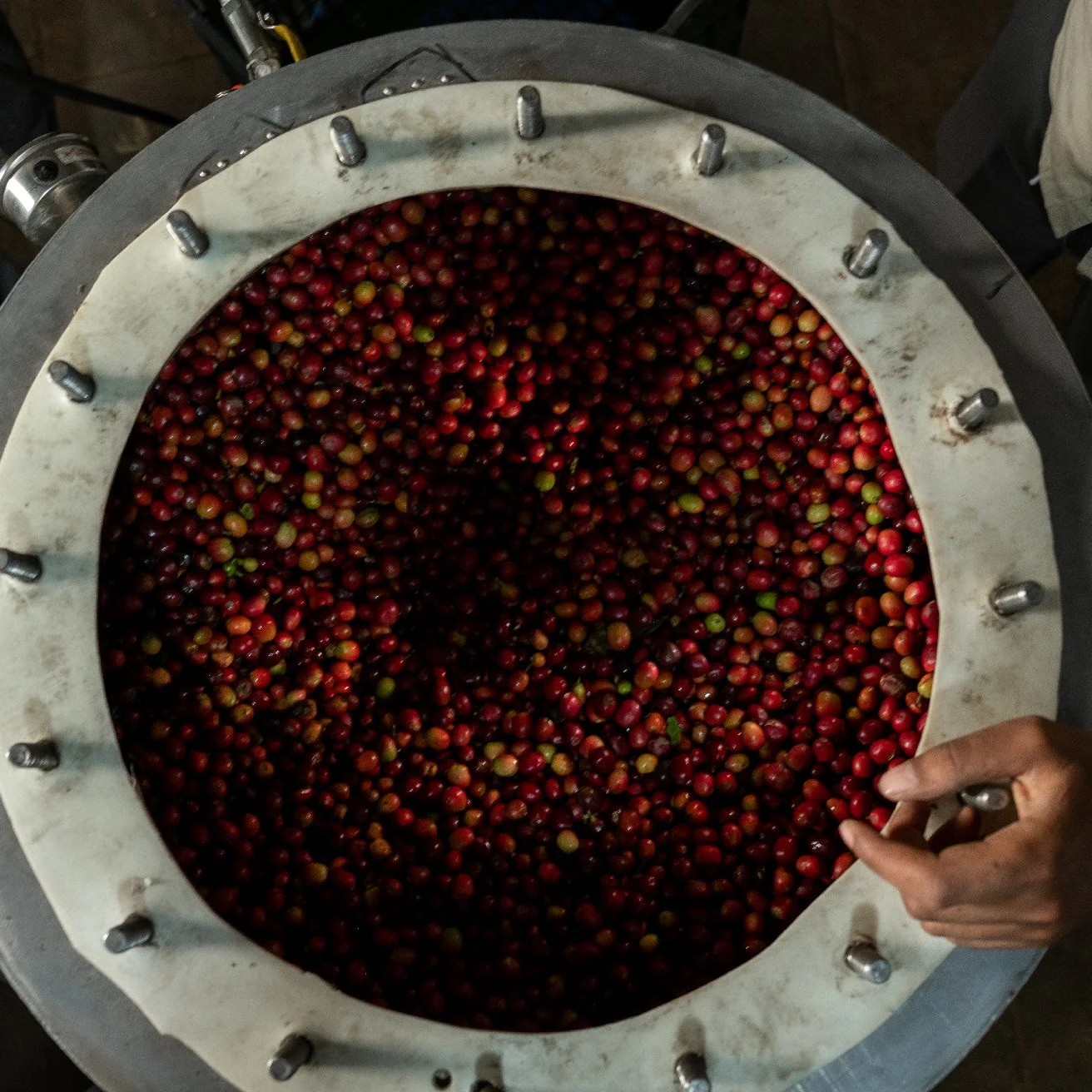 YEMEN ALCHEMY - Image 8